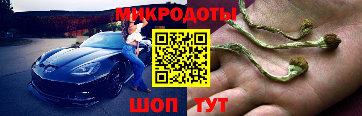 Псилоцибиновые грибы мицелий  Галлюциногенные грибы Psilocybine cubensis  Вход с VPN  Дубна 